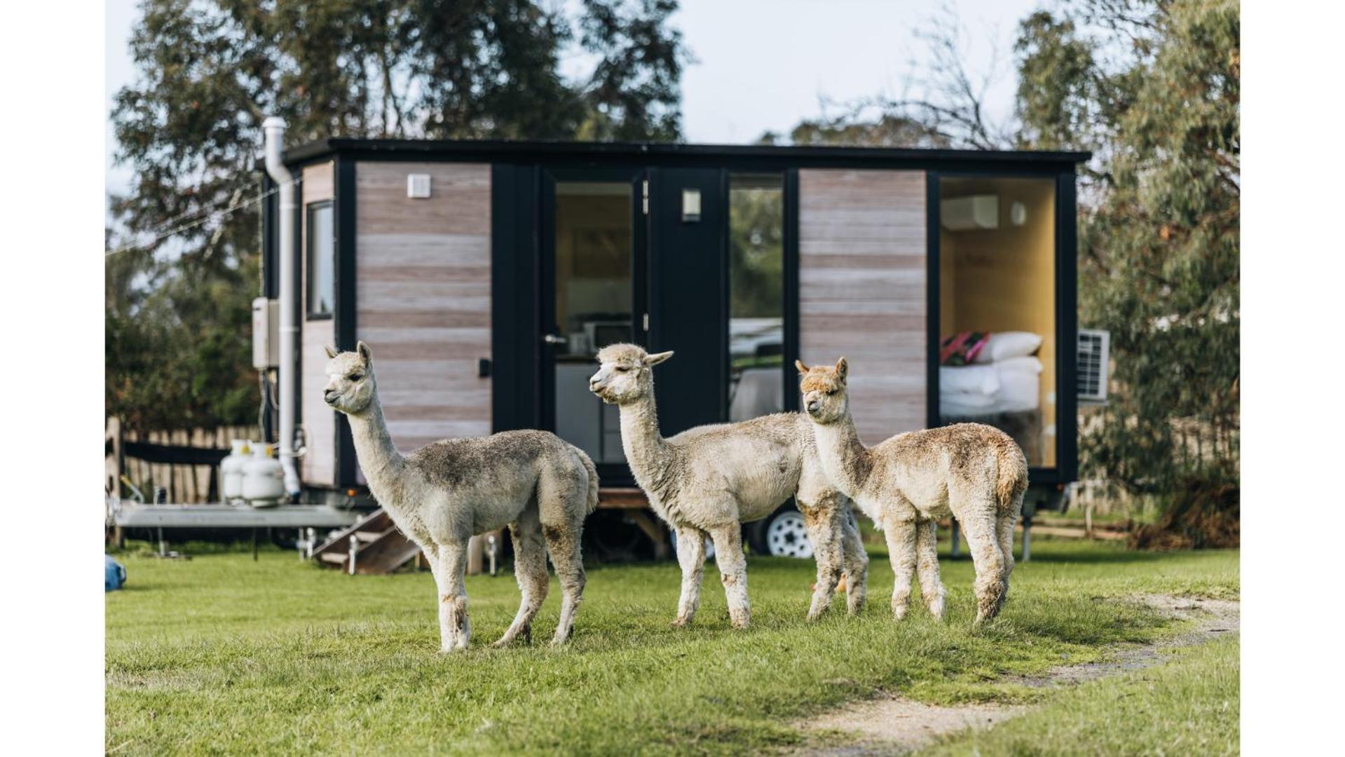 Bush Retreat 1 By Tiny Away Vila Alberton West Exterior foto